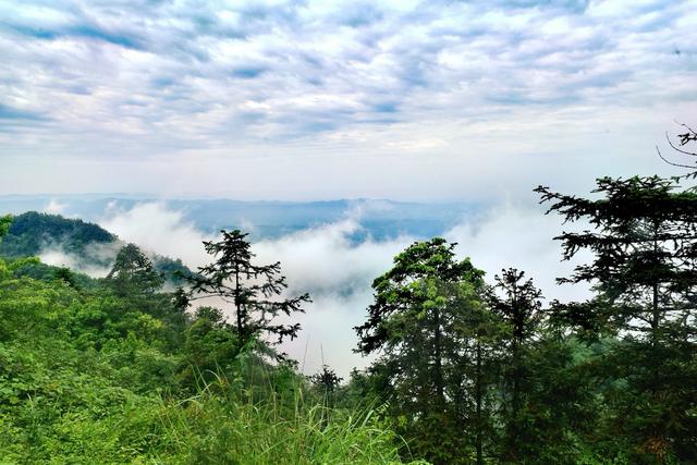 神奇骆崃山 ， 99匹骏马想与你相见