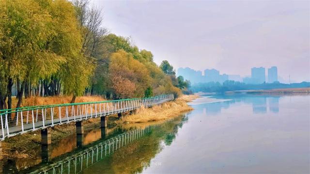 这样的哈尔滨，你见过吗？