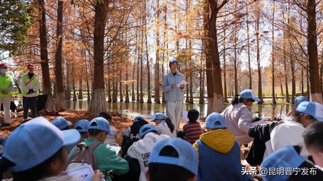童心守护滇池蓝！小营员探秘湿地学科普
