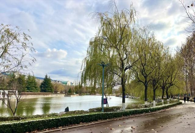 初雪滤镜下的潍坊，美得不一样~