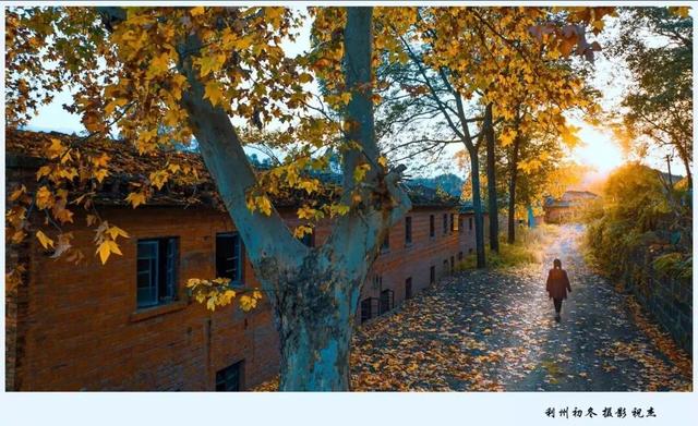 利州＝梦幻秋色打卡地