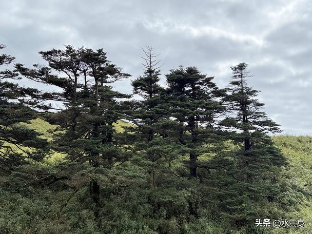 北京自驾长江三峡、神农架之旅（6）