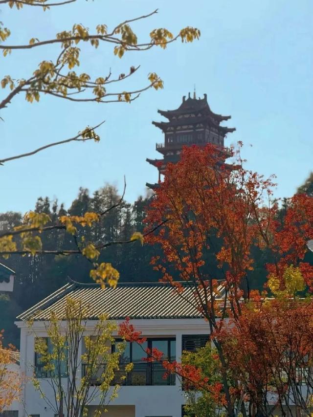 九九重阳，人往高处走