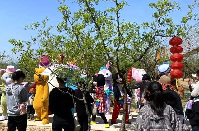 双节遇国宝，运城 “潮” 好玩 | 中秋国庆沉浸式文旅体验季！稷山板枣公园等你来！