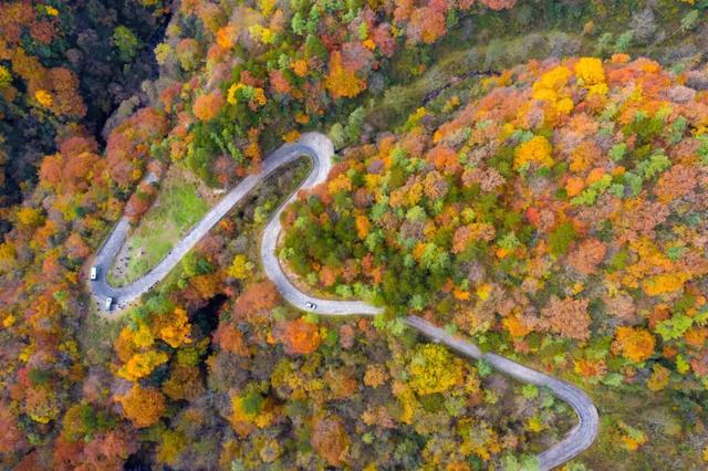 赏秋正当时!自驾来汉中,赴一场秋日视觉盛宴~
