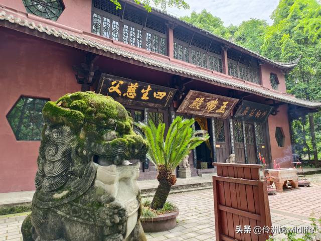 成都徒步（64）·新津篇③观音寺