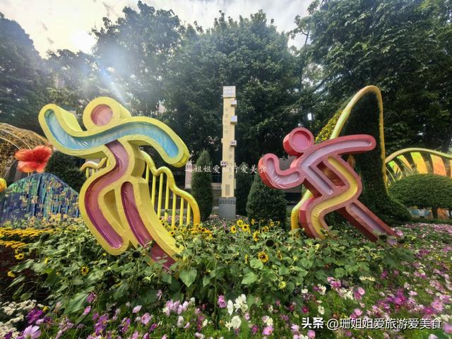 广州文化公园66届菊展，藏秋冬浪漫气息，延续全运会风情，免费