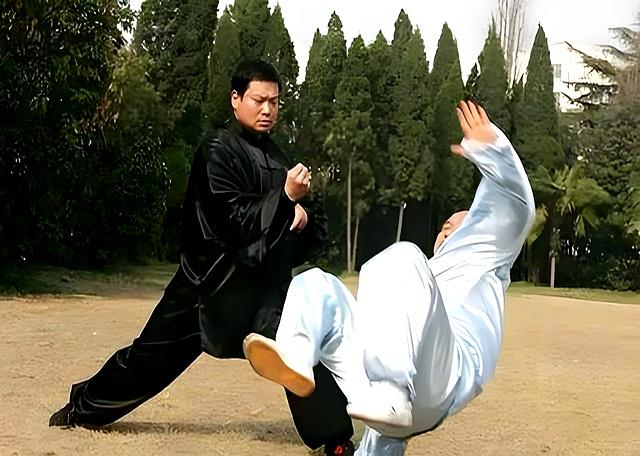 “慢练养身！快练伤身？”太极拳不是只能慢：慢中藏快，快中有静