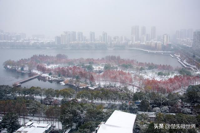 寒潮降雪妆点鄂州 多个景点变身银装世界