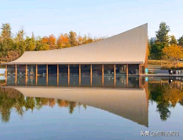 成都旅游真厉害，水杉红又被国际“种草”，这5处超级壮观！