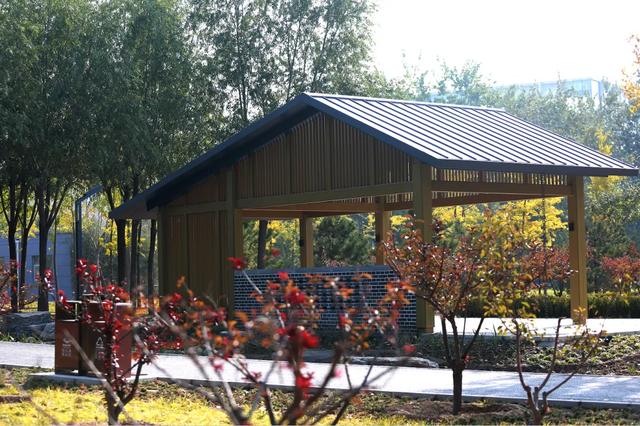 丰台的公园又双叒叕上新啦!