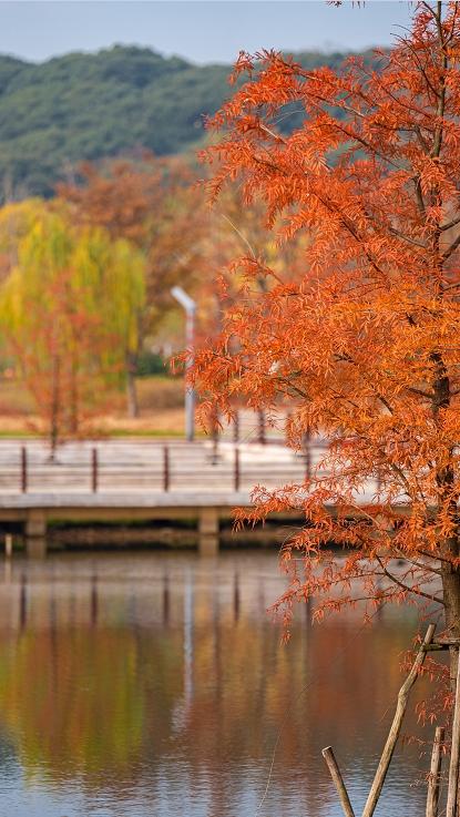 从百年古刹到水上森林：解锁上方山秋冬宝藏打卡地