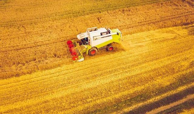 中美俄耕地面积差距太大：美23.7亿亩，俄18.3亿亩，中国令人意外