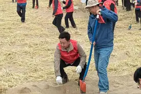 最新 | 朱军获新称号！图片