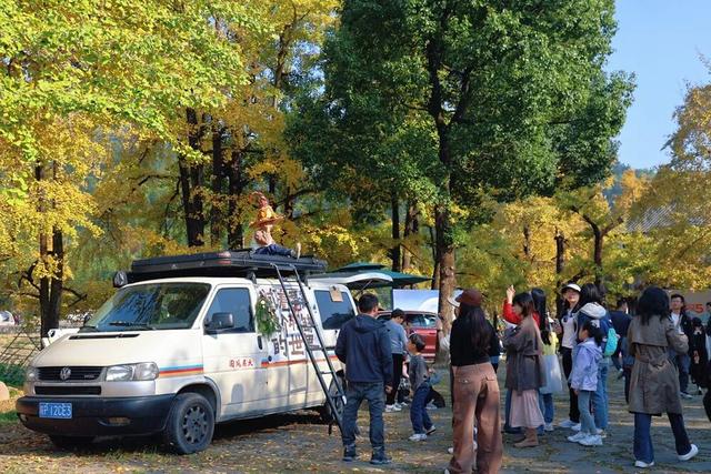 人人人车车车！富阳一地迎来大客流，太赚了！