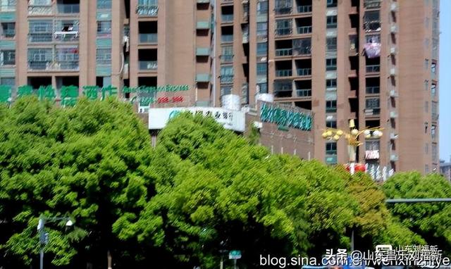 从鹰潭到乐安（江西之旅第七十篇）