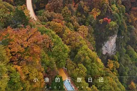 美爆了！西安自驾1.5h，这个秦岭绝美赏秋地，红叶“大片”上线！图片