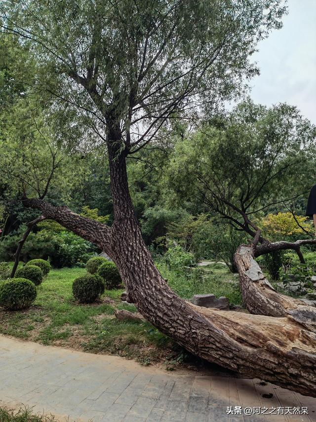 我是济南人，刚从青州回来	，实在忍不住想说：对青州5点印象