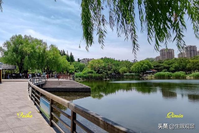 影记 | 青岛李沧文化公园掠影
