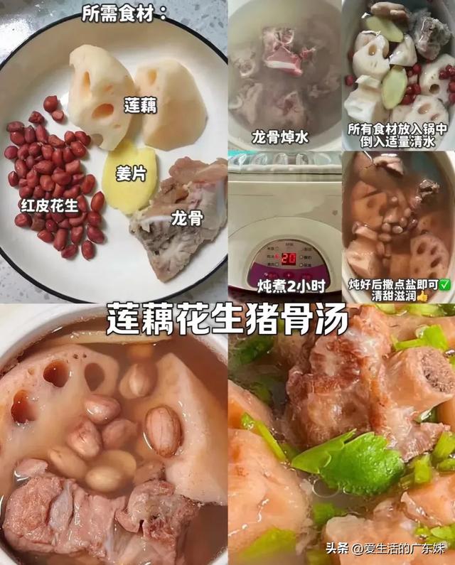 花胶海底椰排骨的功效 花胶海底椰排骨的功效是什么