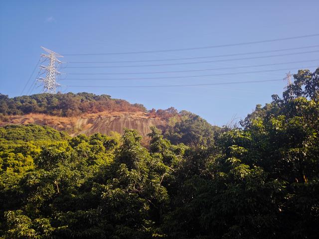 从丽康路穿荔园溪谷至西丽湖绿道骑行随拍