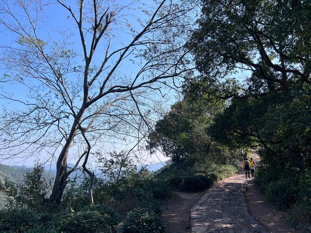 上天竺到云栖竹径，徒步9公里，感受一路秋意。