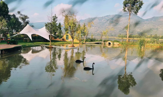 阳宗海国家级旅游度假区丨昆明邀请您，水上狂欢花海寻踪 共赴阳宗海清凉之约