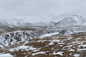 唐古拉山上寻找牛世钧图片