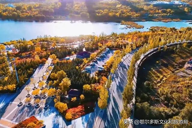 东胜区秋日私语——抓住金色的尾巴