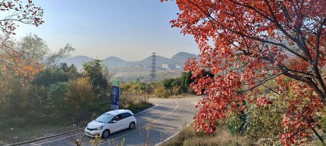 寻美薛城丨红叶超美！初冬的圣土山开启最美赏叶季