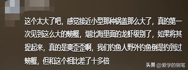 “锅盖”那么大的螃蟹？福建男子野外钓鱼遇到“巨型蟹”！