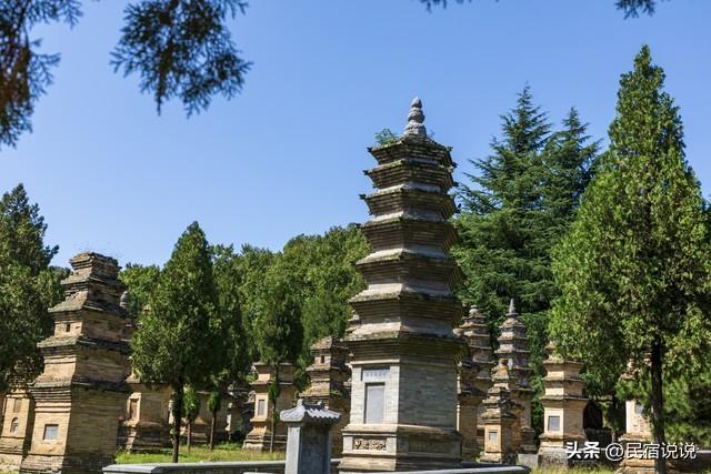一场寺院“农忙”让人知道河南不止有少林