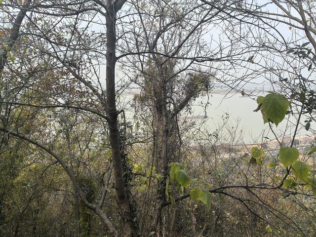 南京幕府山（东线）郊野徒步