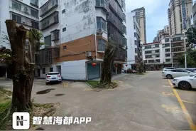 如此“修剪”！莆田一小区树木遭“剃头”图片