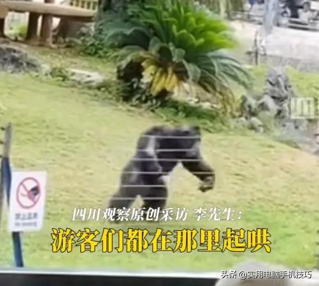 雪豹咬人内幕曝出！村支书还原真相，央视发文怒批	，当事人被打脸