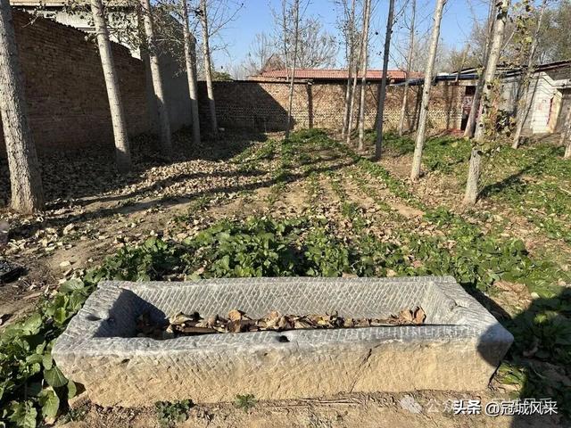 冠县乡韵·贾镇岑庄