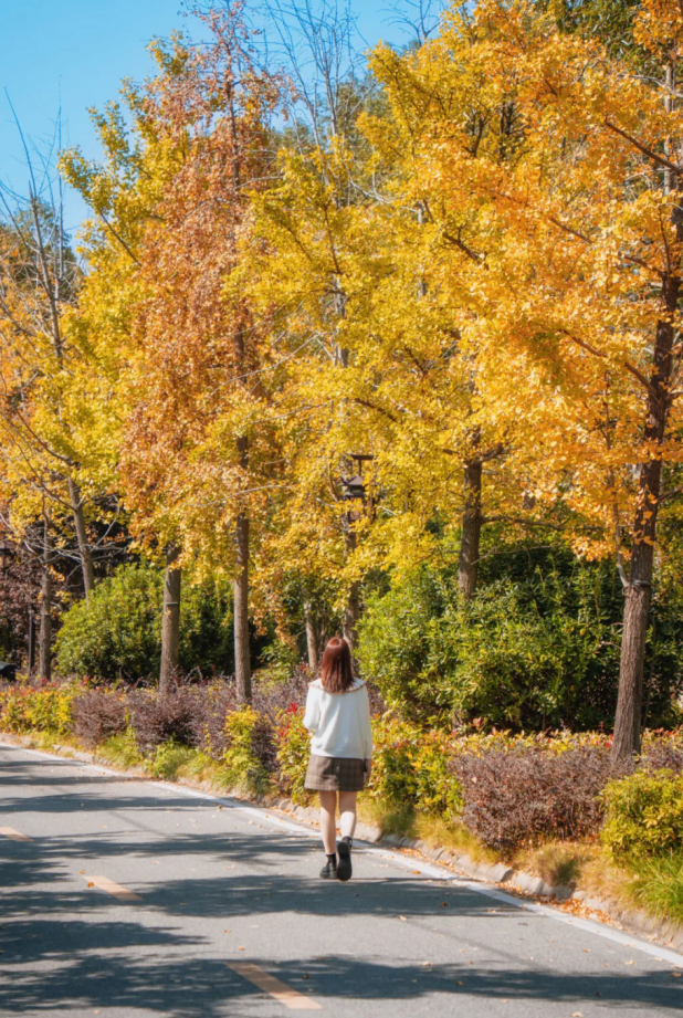 黄陂秋日文艺之旅 | 玩出“文艺范天花板”！