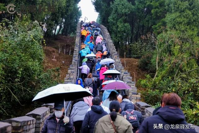 村糖甜!商圈旺!文旅热!元旦假期,龙泉驿文旅消费市场“开门红”