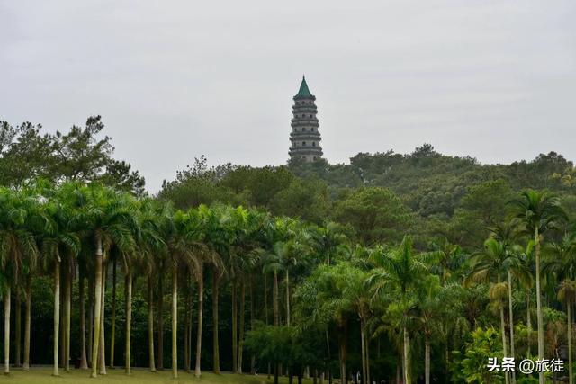 【跟着旅徒游广西】之四十:南宁|青秀山公园