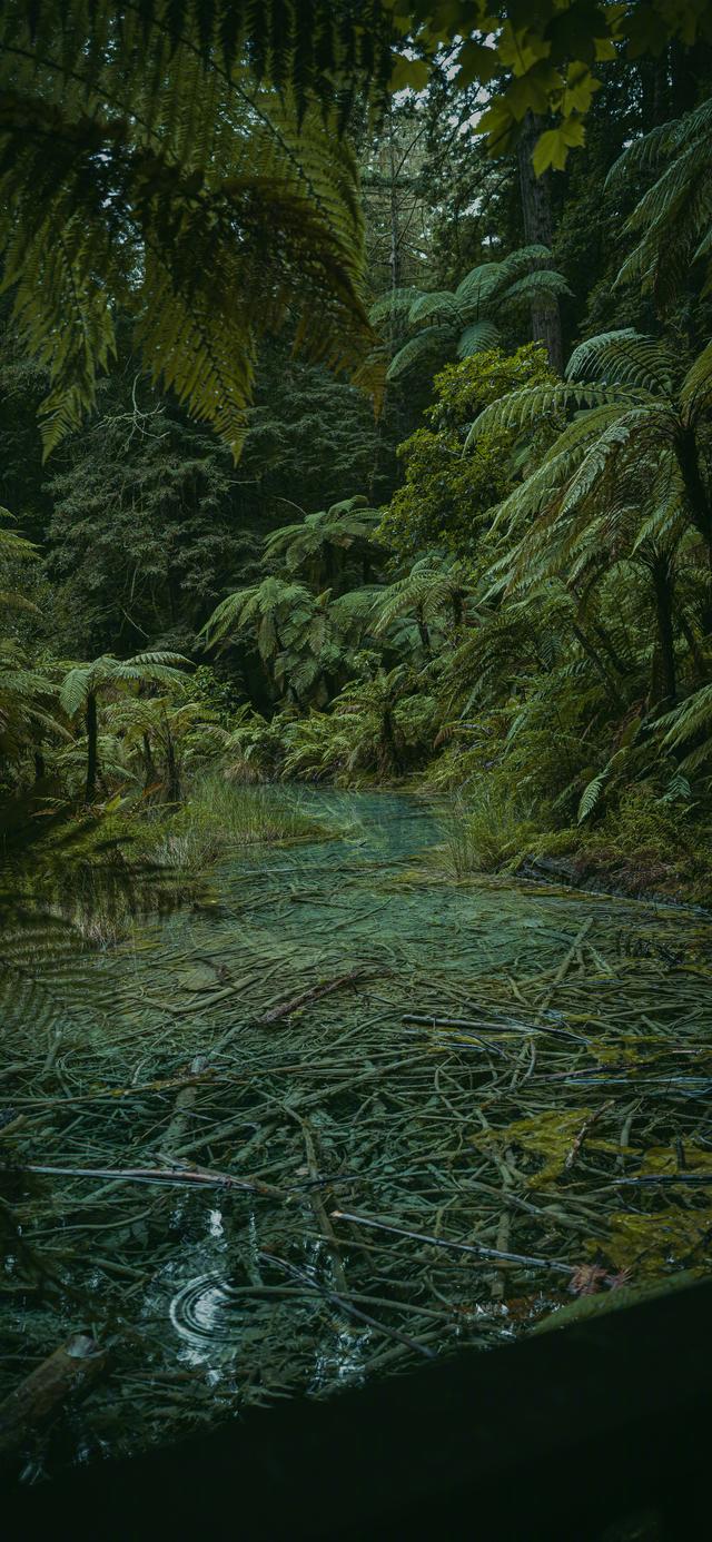 风墨壁纸 | 一眼爱的高级氛围感风景壁纸