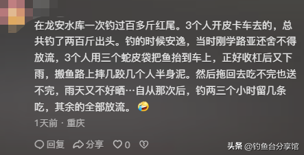 无人捡？四川一河岸上全是“红尾”野生淡水鱼！根本数不清！