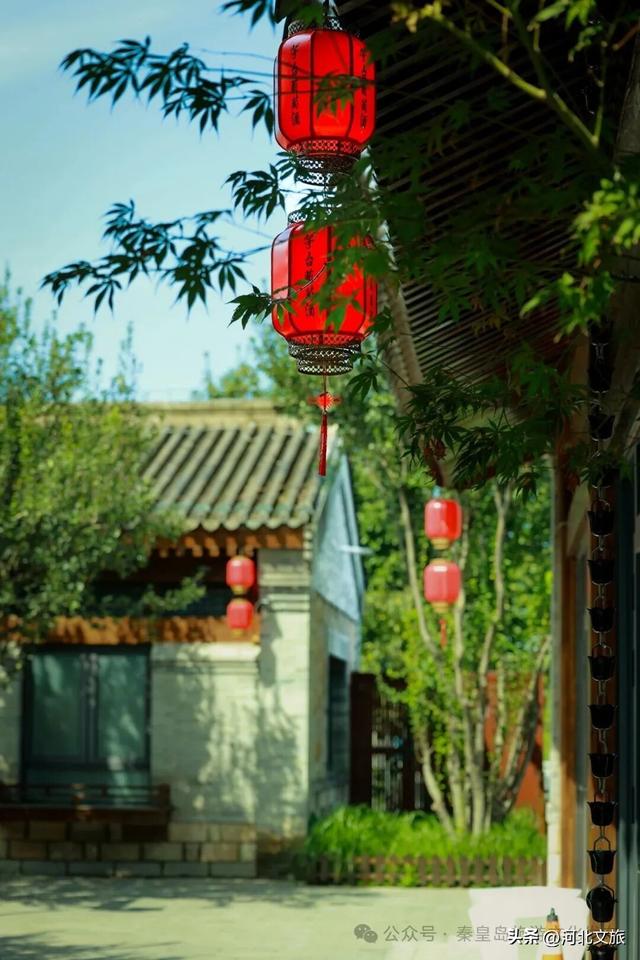 免费！秦皇岛这个特色小镇开园啦，美似江南，夜景迷人！