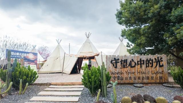 昆明市区冬樱花树下连猪都能自由奔跑的世外桃源