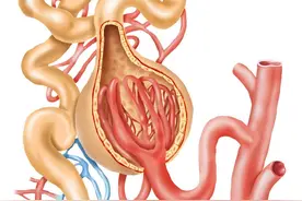 包皮过长影响性生活吗？泌尿外科名医为你解答疑虑，守护男性健康图片