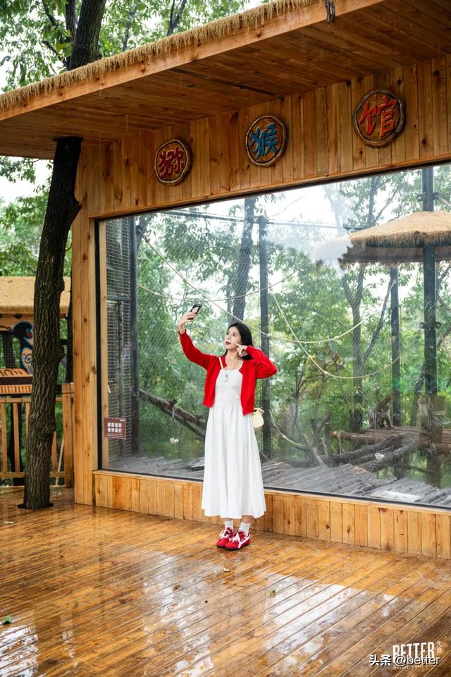 不出武汉，玩转真实版「疯狂动物城」