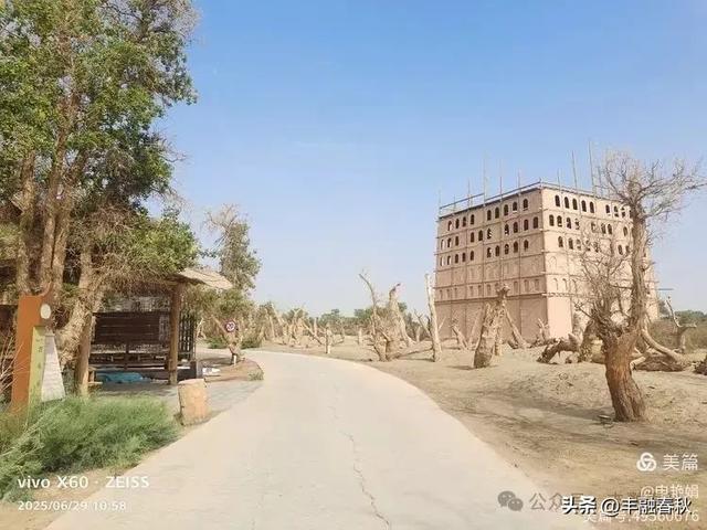 探秘新疆巴楚红海景区：自然与人文的交响｜ 申艳娟
