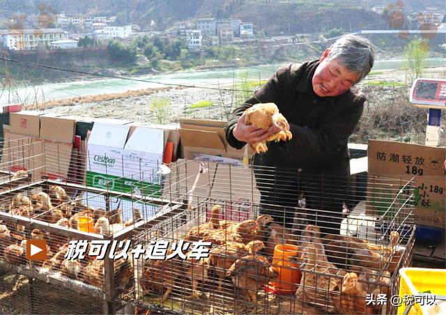 阳平关：宝成铁路的重要站点，古蜀道上的岁月遗珠