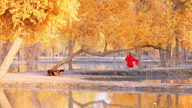 多年来，一批又一批绍兴人前赴后继，走进了这座大漠小城……