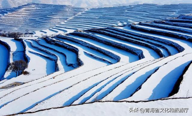 今日小雪丨挥别秋光，启幕四季的最后一场