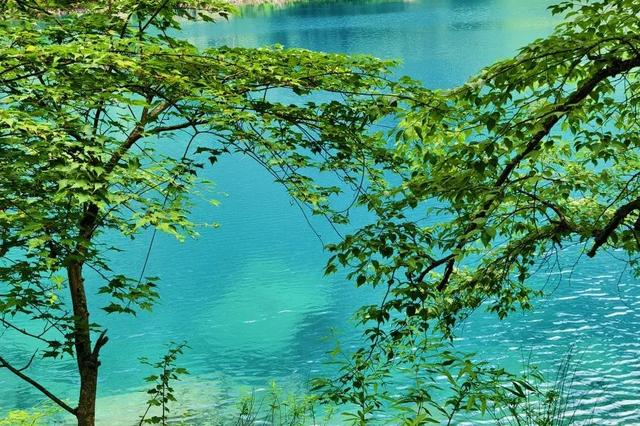 这个夏天，你与19℃的松坪沟只差一个出发！